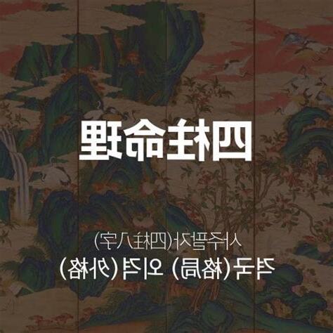 外格 11